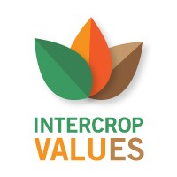 IntercropVALUES Horizon Project logo - Similar company to Liveseeding