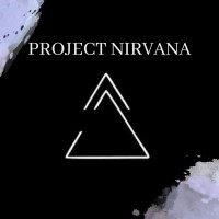 Project Nirvana logo - Similar company to Bizzworm