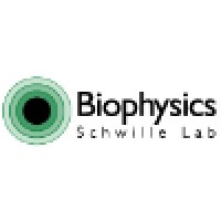 Schwille Lab, Biotec, Tu Dresden