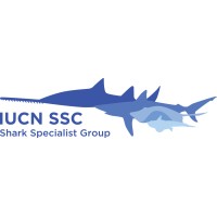 IUCN SSC Shark Specialist Group (SSG) logo - Similar company to Reshark