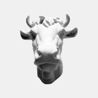 REGULAR ANIMAL logo - Similar company to Tiplr