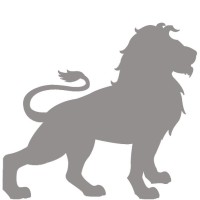 Lion IT Solutions LLC logo - Similar company to Lion Technologies Ltd.