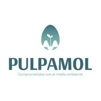 PULPAMOL logo - Similar company to Deeparc Research