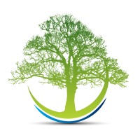 Anglo Renewables Ltd logo - Similar company to Solar2 Ltd