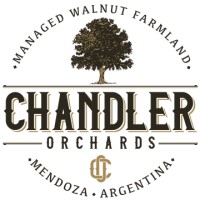 Chandler Orch
