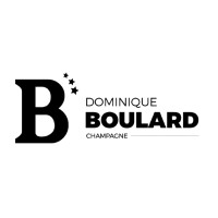 Champagne Dominique Boulard & Filles logo - Similar company to Flakon