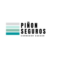 Piñon Seguros logo - Similar company to Mvseguros