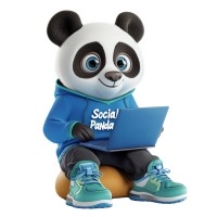 Social Panda logo - Similar company to Digital Panda