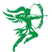 BIVX Wealth and Insurance Solutions logo - Similar company to Ebb + Flow