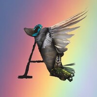 Aniwa logo - Similar company to Mr. Psychedelic Law