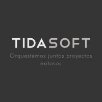 TIDASOFT logo - Similar company to Tidal Infotech India