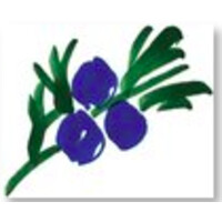 Juniper Ventures LLC logo - Similar company to Pllc