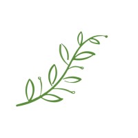 Olive and Salt logo - Similar company to Vybe Connect