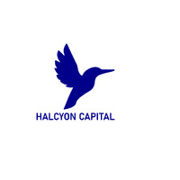 HALCYON CAPITAL logo - Similar company to Fertilemind