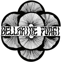 Bellarine Fungi logo - Similar company to Think Fungi Inc.