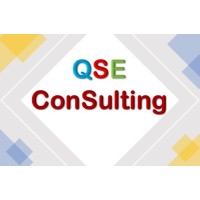 QSE Consulting logo - Similar company to Hera Solutions