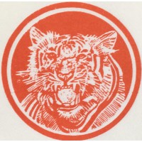 Tiger Security logo - Similar company to Us Tiger Securities, Inc.
