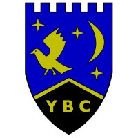 Ysgol Bryn Castell (YBC) logo - Similar company to Wrapp10
