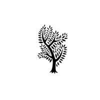 Tepual Conservación logo - Similar company to Fundación Parque Tricao