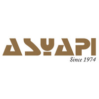 ASYAPI logo - Similar company to Mitte