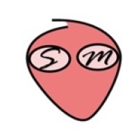 Selfmoji logo - Similar company to Vancoretech