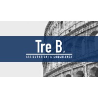 TRE B Srl - Assicurazioni&Consulenza logo - Similar company to Winass Team Srl