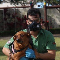 Fumigadora Trumix