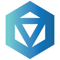 STVS logo - Similar company to Odsecurity B.V.