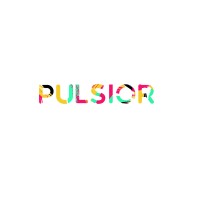 Pulsior logo - Similar company to Databunker