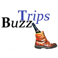 Buzz Trips - Slow Travel Magazine logo - Similar company to Slow Down See More