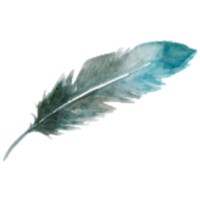 Clear Expressions Inc. logo - Similar company to Clear Expression