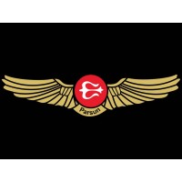 Parsun Aviation logo - Similar company to Parsianpartpasargad