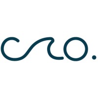 Ponte CECO logo - Similar company to Looks By Luks