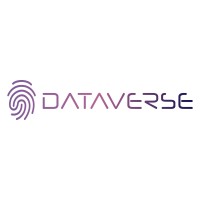 Dataverse Holdings logo - Similar company to Euler Solutions