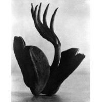 Mandr.agor.art logo - Similar company to Orma Art