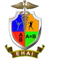 Equitable Health Access Initiative logo - Similar company to Lagos Mind