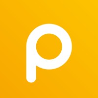 PALLMANN NL logo - Similar company to Intr.
