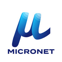 Micronet Systems logo - Similar company to Future Bound It Ltd