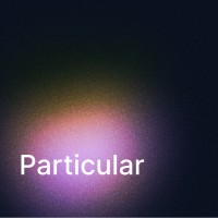 Particular | Podcast logo - Similar company to Shynee Web Design & Digital Marketing