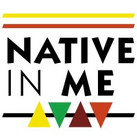 Native In Me Ltd logo - Similar company to Infinitestreet