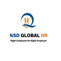 NSD Global HR logo - Similar company to Delta Recruitment Bv