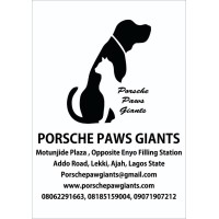 Porsche Paws Giant Clinic
