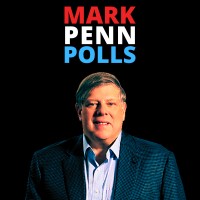 Mark_Penn_Polls logo - Similar company to Perspective Polls