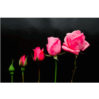 Bloom Financial Partners logo - Similar company to Bloom Financial