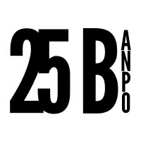 25 BANPO logo - Similar company to Wide Future