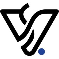 VisualSoft Global logo - Similar company to Visualsoft Ltd
