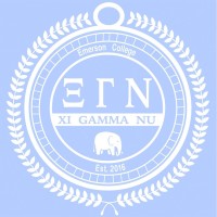 Xi Gamma Nu Sorority at Emerson College logo - Similar company to Pulse Media
