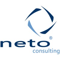 neto consulting logo - Similar company to Data Security Gmbh