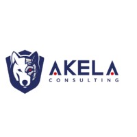 Akela Consulting logo - Similar company to Portaxys