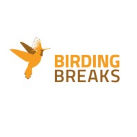 BirdingBreaks logo - Similar company to Fossnet